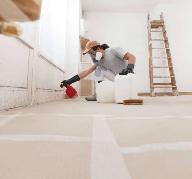 Best HVAC Mold Inspection and Cleaning  in Marfa, TX