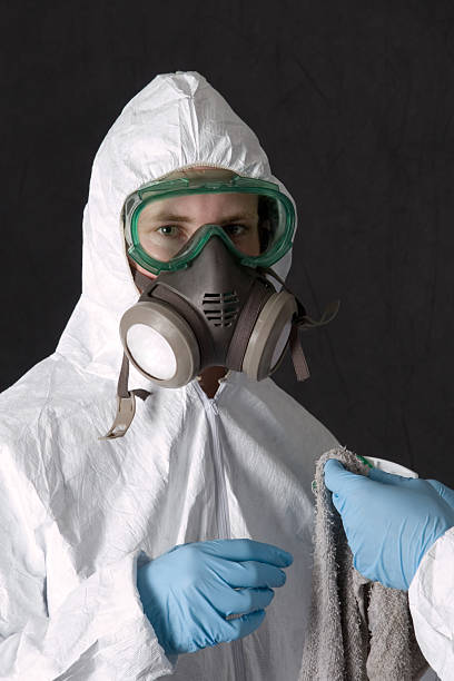 Best Environmental Consulting for Mold Prevention  in Marfa, TX